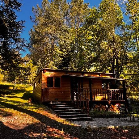 Le Terrier Blanc Villa Argenton Sur Creuse Exterior foto